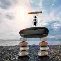 cdn节‌点​怎‍么﻿换﻿